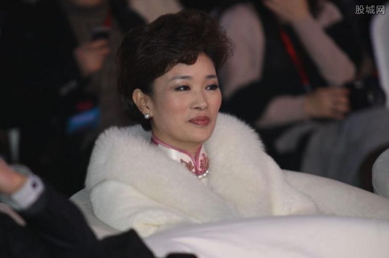 胡洁前夫杨胜华个人资料胡洁为什么和前夫离婚