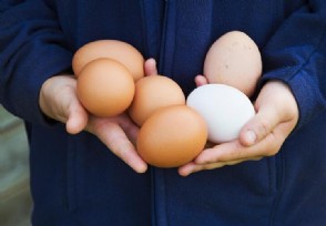 2020明年鸡蛋价预测 2020春节鸡蛋价格上涨吗