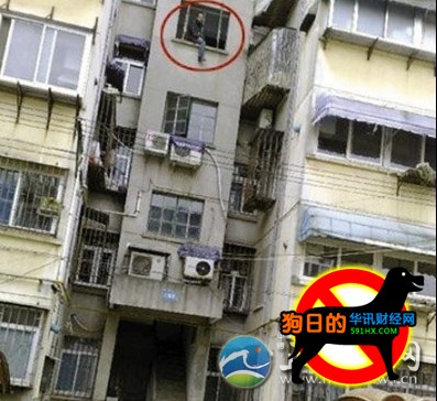 南理工博士跳楼
