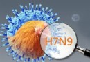 h7n9кѪ̯ϴ¶˼ܴ