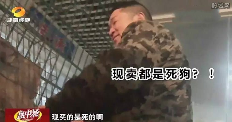 湖南查获毒狗肉