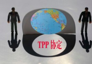 ͨTPP׼ 䱳󰵲Ŀ