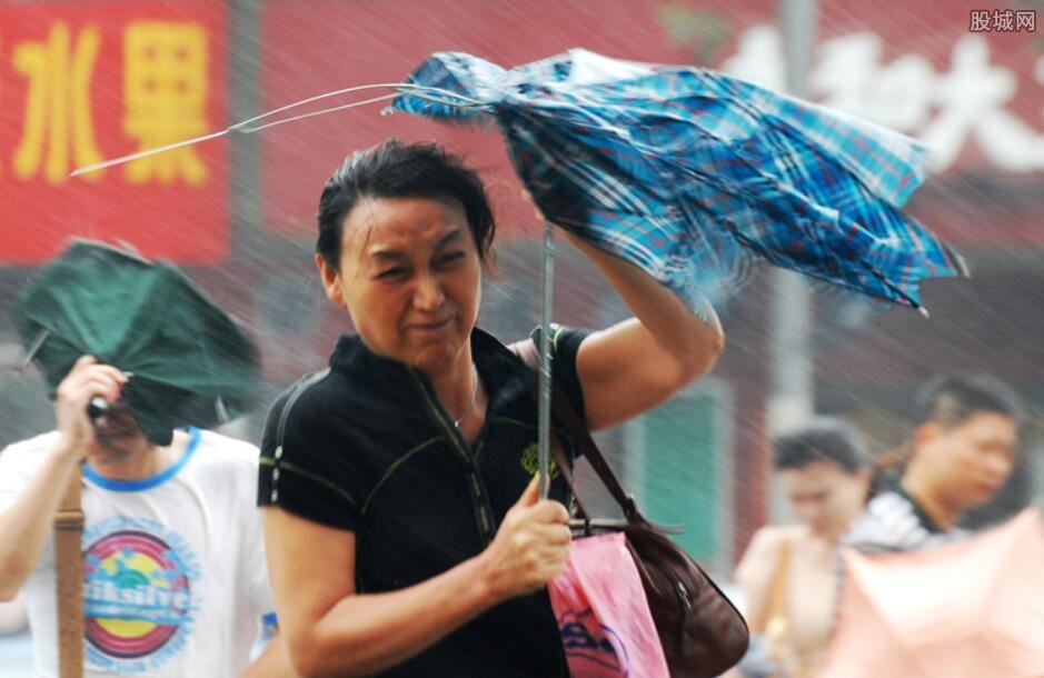 杭州公园下煤雨