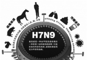 h7n9ѷδ˼ʴ ٷ׼h7n9