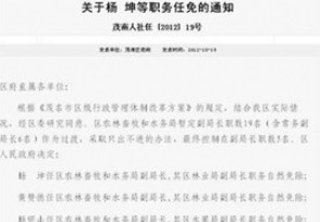 广东茂名1个部门设19副局长 直惊网友目瞪口呆