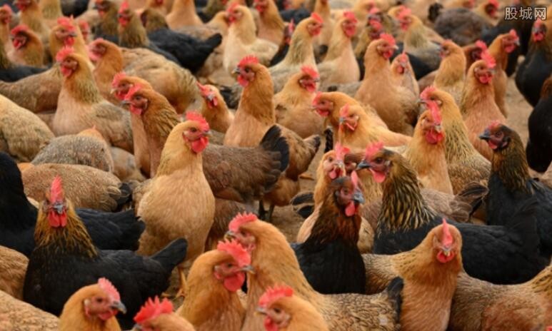 H7N9尚无人际传播