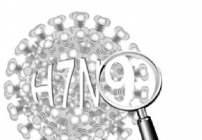 h7n9ٶȾ 82175˳Ժ