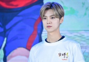 鹿晗怒斥跟车黄牛显爷们 私生饭疯狂行为引鹿晗发怒