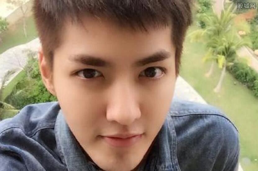 吴亦凡名誉案结果