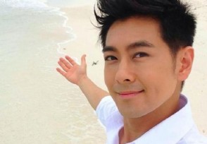 林志颖娶陈若仪内幕 揭秘两个人的相识相遇