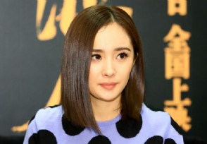 杨幂的发际线还未恢复 一拍大片又出BUG