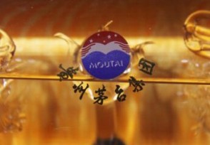 茅台蒸发1800亿 股价突然闪崩让投资者遭受重创