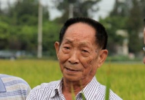 袁隆平被索赔500万 揭秘袁隆平为什么被索赔