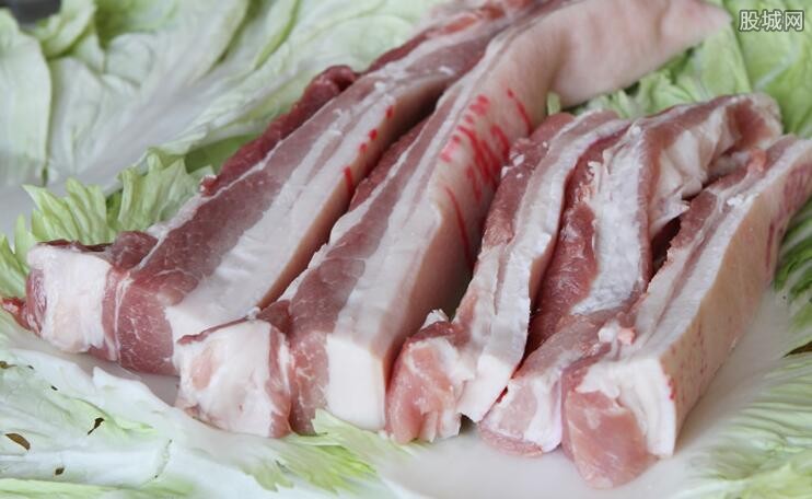 猪肉价格最新消息