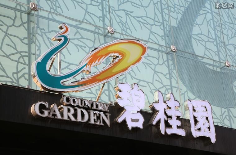 碧桂园年中业绩怎么样