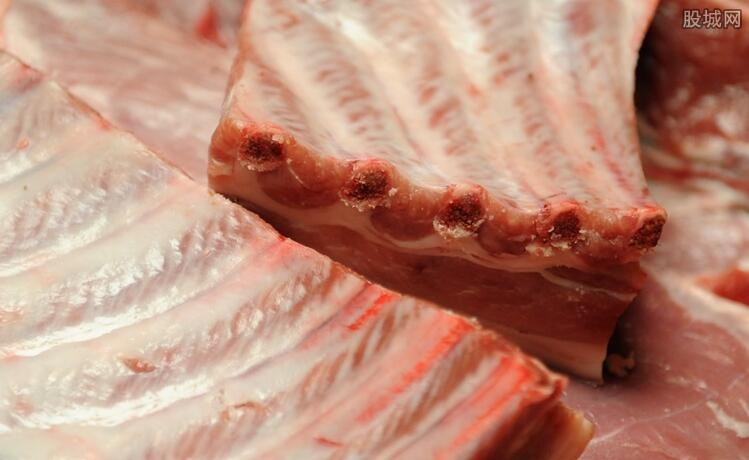 猪肉价格最新消息