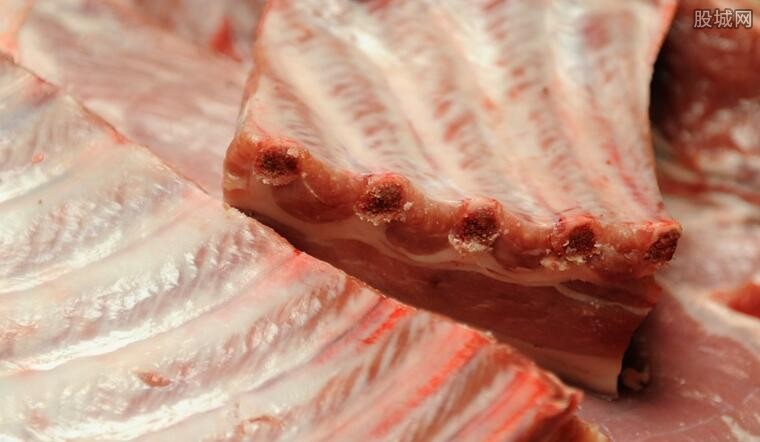 猪肉价格最新消息