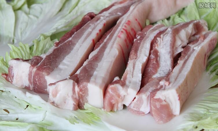 猪肉价格最新消息