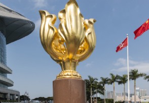 香港市民采访时流泪 旅游市场受重创收入下跌