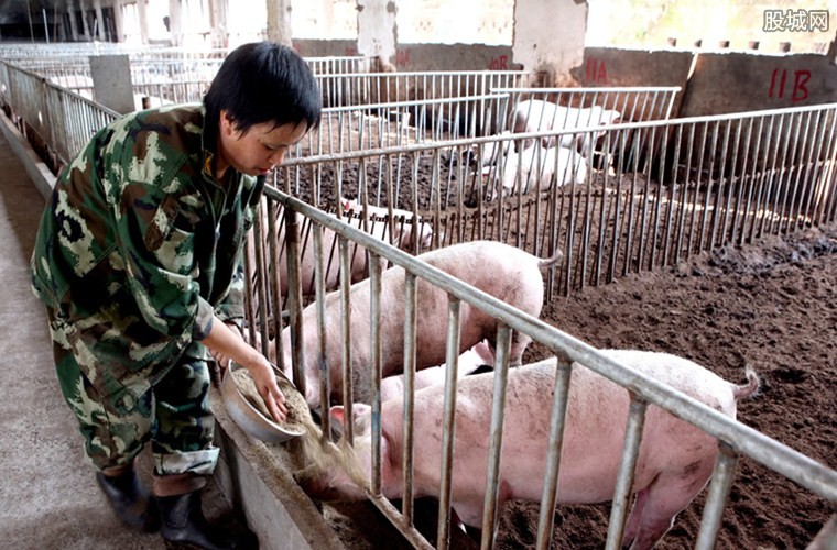 国家补贴多少钱 养猪国家补贴500万政策