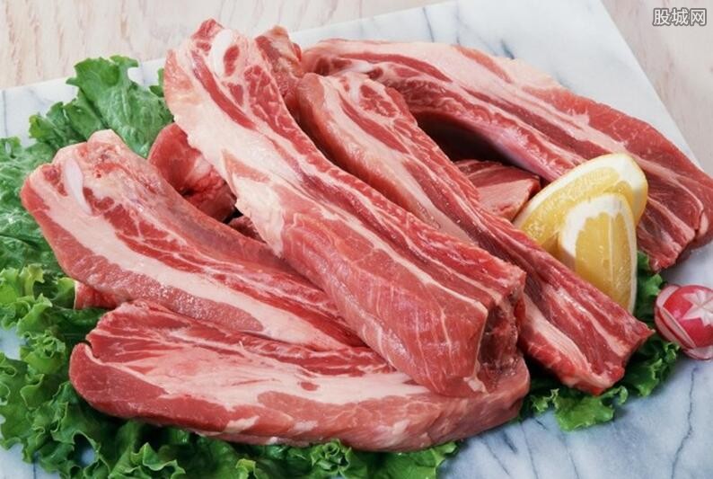 猪肉价格