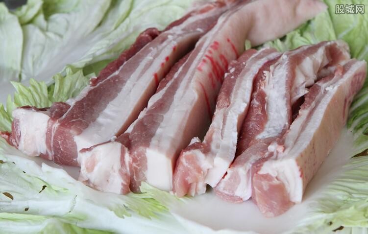 猪肉价格