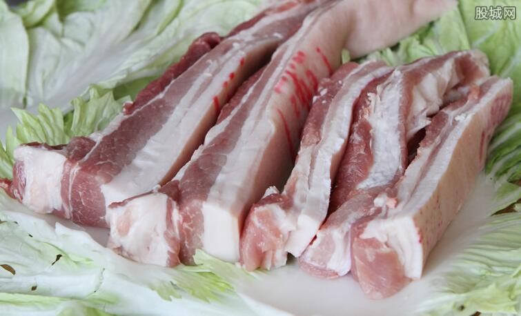 猪肉价格最新消息