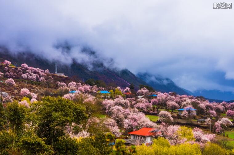 西藏林芝旅游