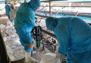 意大利新冠肺炎情况 今天公布疫情最新数据状况