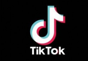 TikTokϢ ۻϵ11ѡ