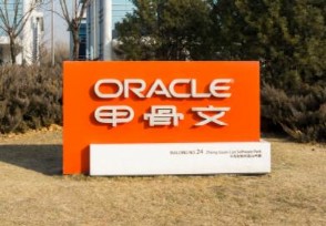 甲骨文公司是干什么的 全球最大的企业级软件公司