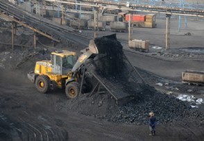 中国停止从澳大利亚进口煤炭 或令澳损失150亿澳元