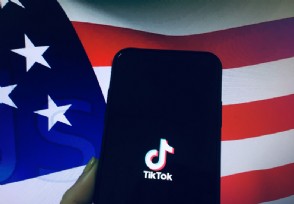 TikTok׽ݻִ ¼