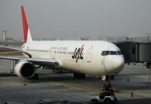 日本航空重组后亏损 预期年度最高亏损173亿