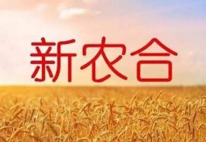 ũҽÿ˽Ǯ ũϽɷѱ׼