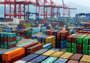 中国禁进口澳洲原木 检出活体检疫性林木害虫