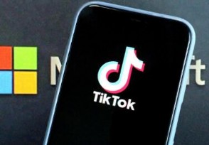 TikTokͣݻ 15ʱ