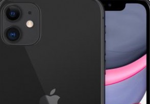 ƻֻĸԼ۱ȸ iPhone11