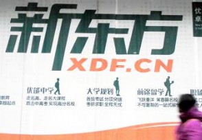 15家校外培训机构被罚款3650万元 存在违规行为