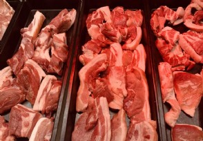 猪价半年跌超50% 猪肉价格①为何迅速下跌？