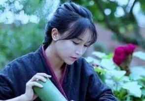 李子柒怎么盈利的？ 浏览量可带来这么多收益