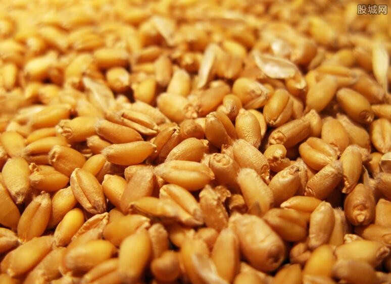 全球粮食行情