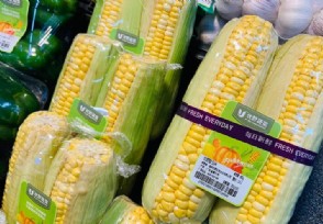 玉米大降价今年上秋玉米开秤价能否涨到1.2元 3件事要注意