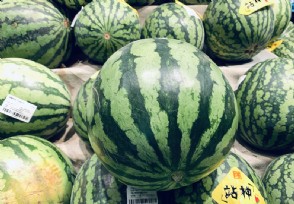 女子切开西瓜发现“黄豆芽”这还能不能愉快吃瓜