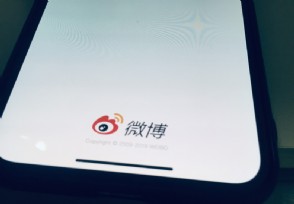 有钱鸭摆件是什么意思？简介显示多少钱