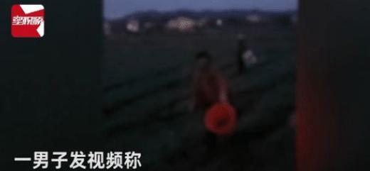 几位大妈组团偷菜