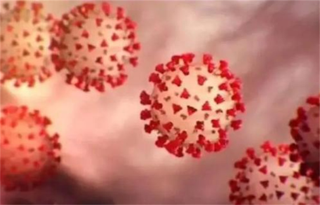 新冠病毒已找到多种动物宿主播病毒被消灭已经不可能成现实