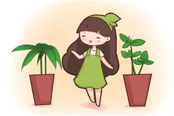家内养这几种花是自找麻烦