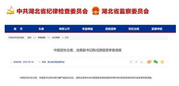 中国足协主席陈戌源被查  目前正接受检察机关调查