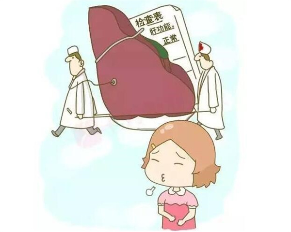 乙肝患者检查肝功能为正常是否代表已经痊愈